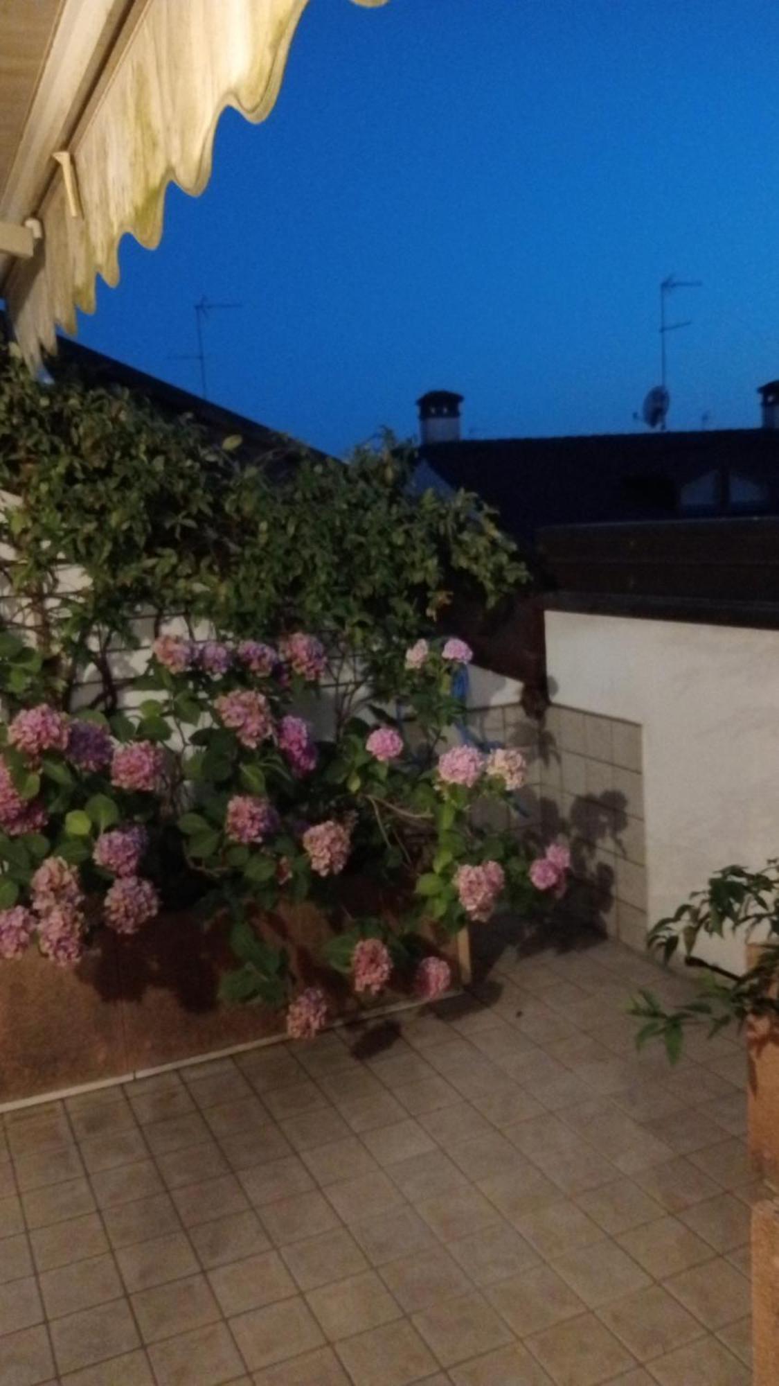 Attico Di Marisa Daire Codroipo Dış mekan fotoğraf